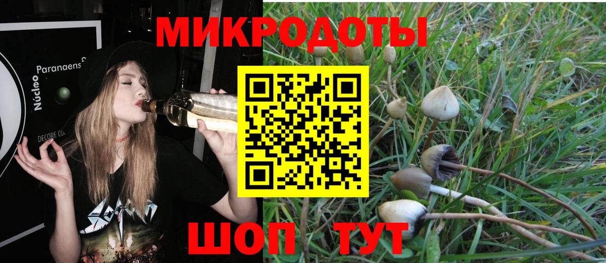 Псилоцибиновые грибы мухоморы Кинель