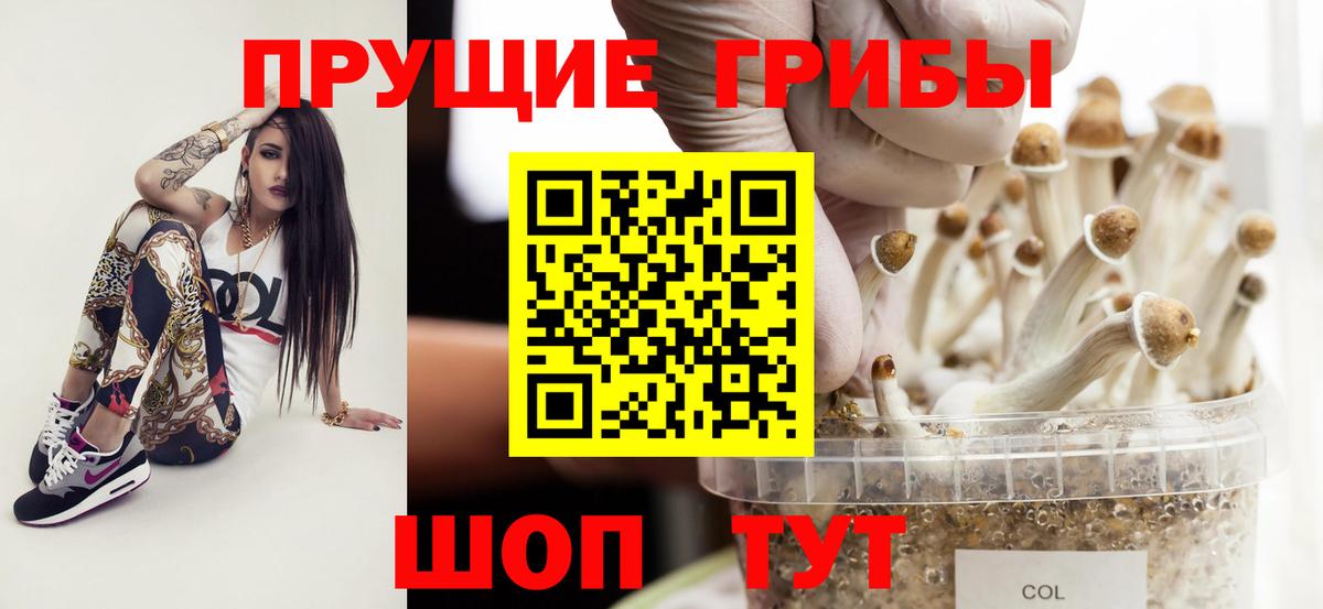 Псилоцибиновые грибы Psilocybine cubensis  Галлюциногенные грибы Magic Shrooms  Кинель  Вход с VPN 